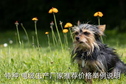 浙江北泰電纜有限公司,浙江遠(yuǎn)東電纜集團有限公司