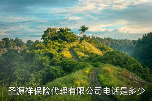 圣源祥保險服務(wù)集團(tuán)
