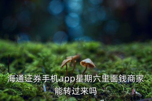 海通證券手機(jī)app星期六里面錢(qián)商家能轉(zhuǎn)過(guò)來(lái)嗎