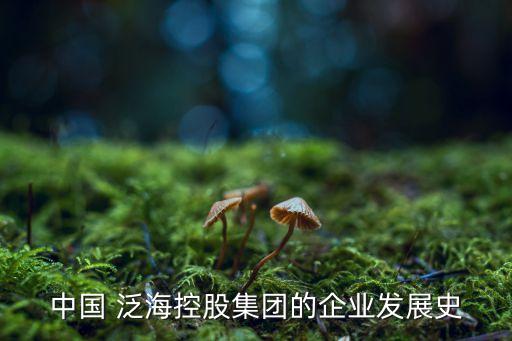 中國(guó) 泛海控股集團(tuán)的企業(yè)發(fā)展史
