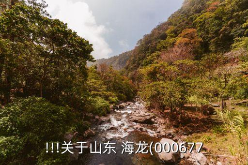 !!!關于山東 海龍(000677