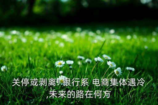 關(guān)?；騽冸x! 銀行系 電商集體遇冷,未來的路在何方