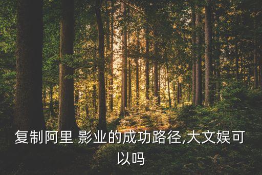 復制阿里 影業(yè)的成功路徑,大文娛可以嗎