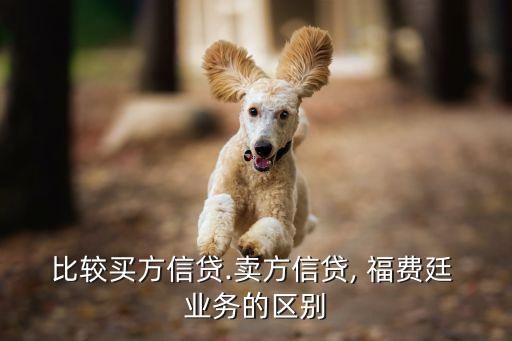 比較買方信貸.賣方信貸, 福費廷 業(yè)務(wù)的區(qū)別