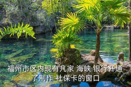 福州市區(qū)內現(xiàn)有幾家 海峽 銀行開通了制作 社?？ǖ拇翱? class=