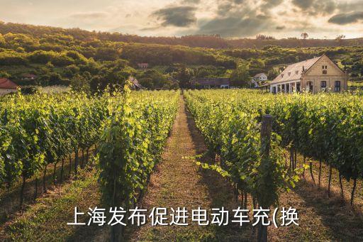  上海發(fā)布促進(jìn)電動(dòng)車(chē)充(換
