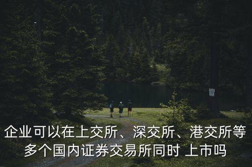 企業(yè)可以在上交所、深交所、港交所等多個國內(nèi)證券交易所同時 上市嗎