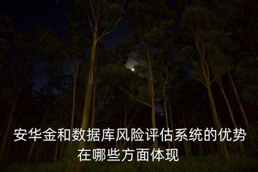  安華金和數(shù)據(jù)庫風險評估系統(tǒng)的優(yōu)勢在哪些方面體現(xiàn)