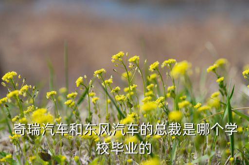  奇瑞汽車和東風(fēng)汽車的總裁是哪個(gè)學(xué)校畢業(yè)的
