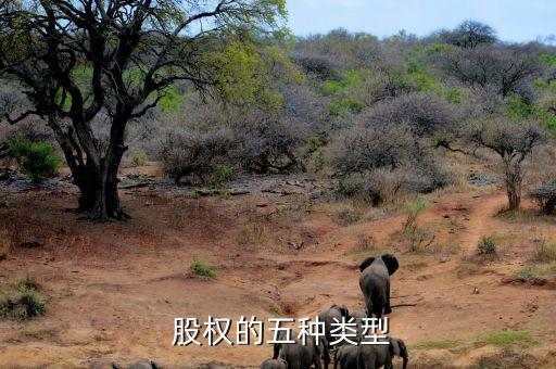  股權(quán)的五種類(lèi)型
