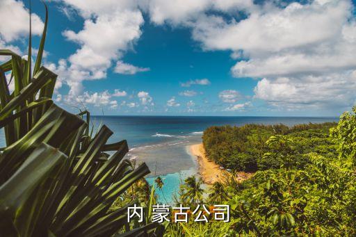 東達(dá)蒙古王集團建筑工程資質(zhì)