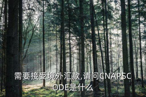 境內外幣支付系統(tǒng)銀行,匯豐銀行 境內外幣支付系統(tǒng)