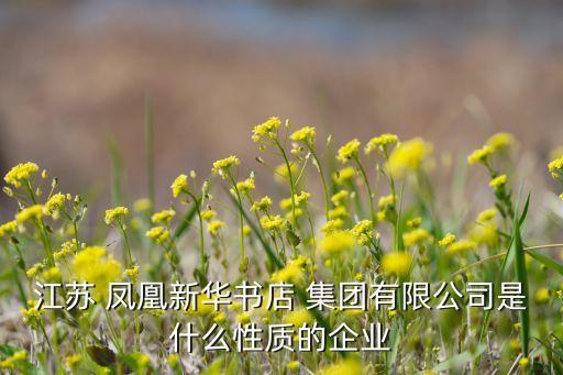 江蘇 鳳凰新華書店 集團有限公司是什么性質的企業(yè)