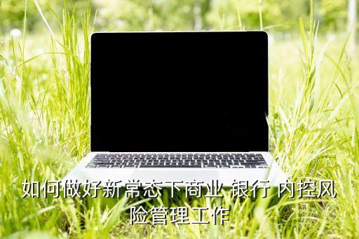 如何做好新常態(tài)下商業(yè) 銀行 內(nèi)控風險管理工作