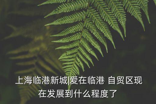  上海臨港新城|愛(ài)在臨港 自貿(mào)區(qū)現(xiàn)在發(fā)展到什么程度了