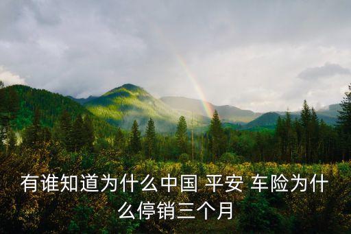 有誰知道為什么中國 平安 車險(xiǎn)為什么停銷三個(gè)月