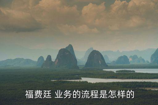  福費廷 業(yè)務(wù)的流程是怎樣的