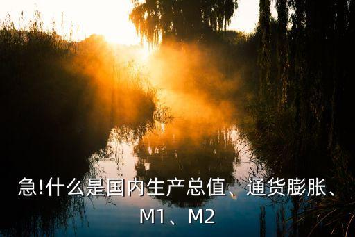 急!什么是國內(nèi)生產(chǎn)總值、通貨膨脹、M1、M2