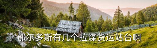  鄂爾多斯有幾個拉煤貨運站臺啊