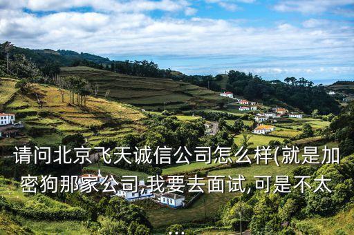 請(qǐng)問北京飛天誠(chéng)信公司怎么樣(就是加密狗那家公司,我要去面試,可是不太...