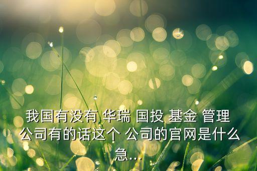 華瑞國投基金管理公司,國投基金管理集團(tuán)