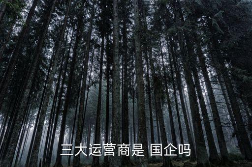 中國聯合網絡通信有限公司算國企么