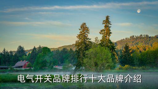 電氣開(kāi)關(guān)品牌排行十大品牌介紹