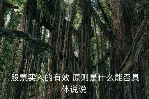  股票買(mǎi)入的有效 原則是什么能否具體說(shuō)說(shuō)