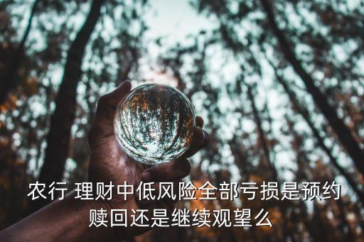 上海農行理財產品糾紛,農行理財產品最近為何跌這么厲害
