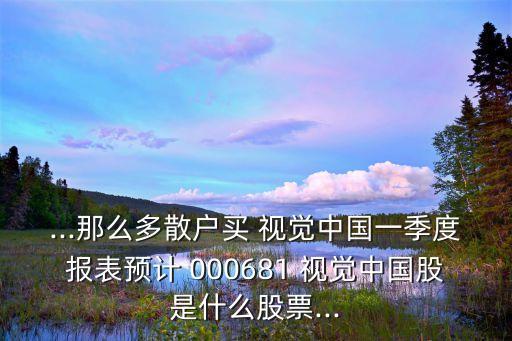...那么多散戶買 視覺(jué)中國(guó)一季度報(bào)表預(yù)計(jì) 000681 視覺(jué)中國(guó)股是什么股票...