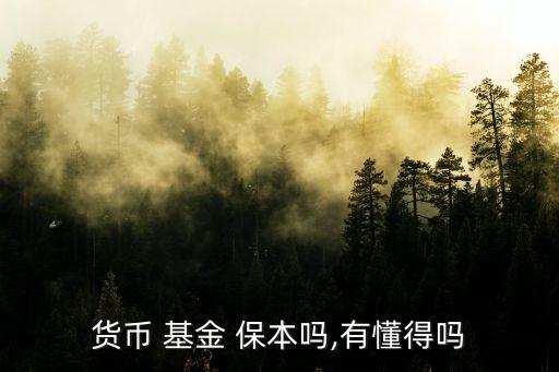 保本基金真的保本嗎,我國國內保本基金為實現(xiàn)保本的目的