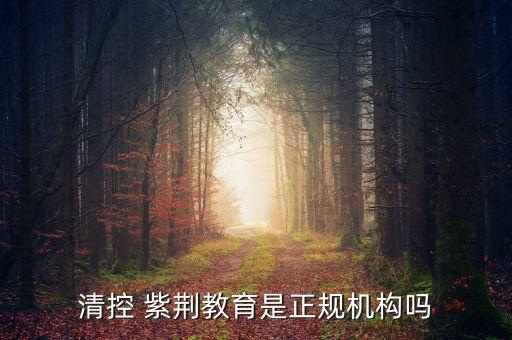 清控 紫荊教育是正規(guī)機構嗎