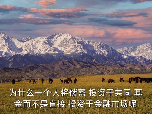 為什么一個(gè)人將儲(chǔ)蓄 投資于共同 基金而不是直接 投資于金融市場(chǎng)呢