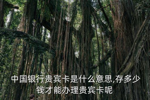 中國(guó)銀行財(cái)富客戶標(biāo)準(zhǔn)