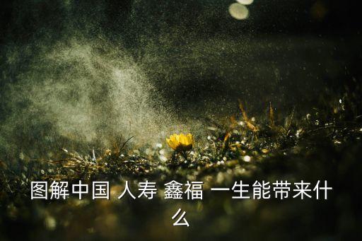 圖解中國(guó) 人壽 鑫福 一生能帶來什么
