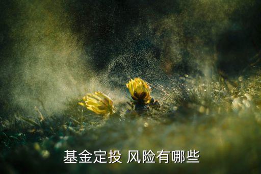  基金定投 風險有哪些