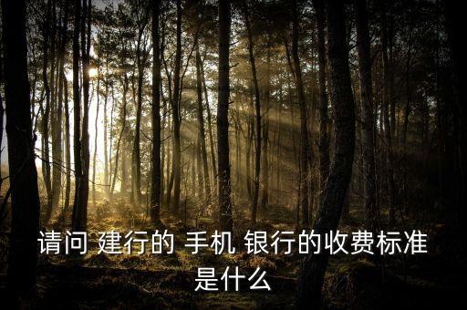 請問 建行的 手機 銀行的收費標(biāo)準(zhǔn)是什么