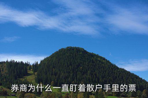 證券公司監(jiān)督管理條例的目的是,根據證券公司監(jiān)督管理條例第二十六