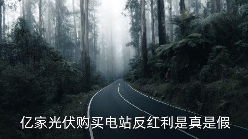  億家光伏購(gòu)買(mǎi)電站反紅利是真是假