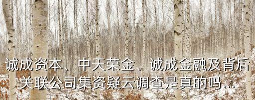 誠(chéng)成資本、中天榮金、誠(chéng)成金融及背后關(guān)聯(lián)公司集資疑云調(diào)查是真的嗎...