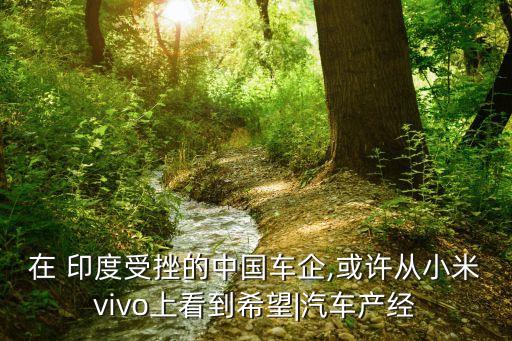 中國(guó)制造在印度