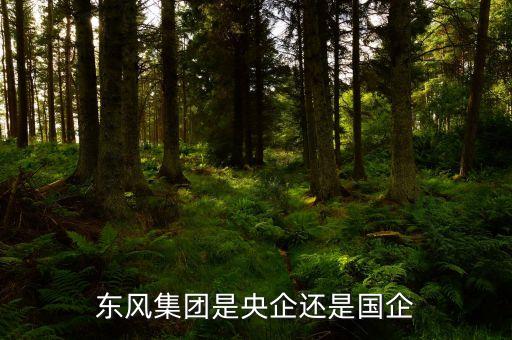東風(fēng)集團是央企還是國企