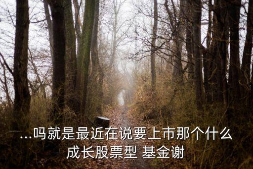 ...嗎就是最近在說要上市那個(gè)什么成長(zhǎng)股票型 基金謝