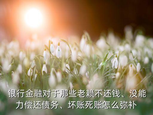  銀行金融對于那些老賴不還錢、沒能力償還債務(wù)、壞賬死賬怎么彌補