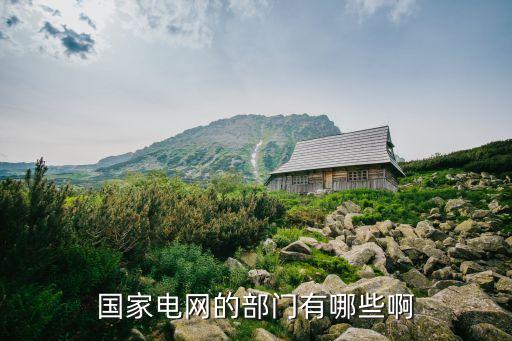 國(guó)家電網(wǎng)的部門有哪些啊