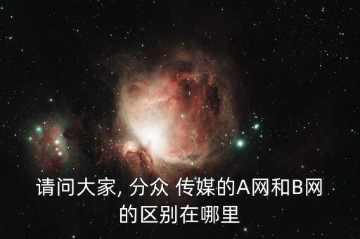 請(qǐng)問大家, 分眾 傳媒的A網(wǎng)和B網(wǎng)的區(qū)別在哪里