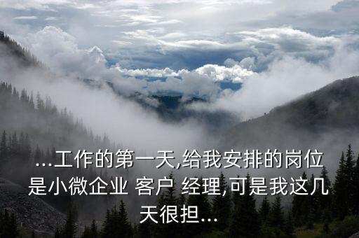 ...工作的第一天,給我安排的崗位是小微企業(yè) 客戶 經(jīng)理,可是我這幾天很擔...