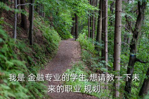 我是 金融專業(yè)的學(xué)生,想請(qǐng)教一下未來的職業(yè) 規(guī)劃