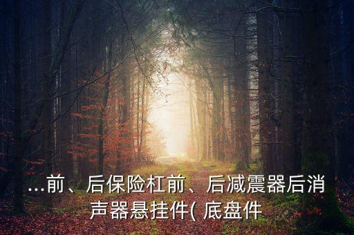 ...前、后保險(xiǎn)杠前、后減震器后消聲器懸掛件( 底盤件