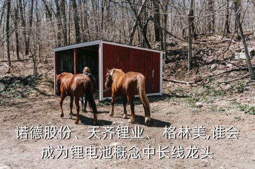 諾德股份、天齊鋰業(yè)、 格林美,誰(shuí)會(huì)成為鋰電池概念中長(zhǎng)線龍頭